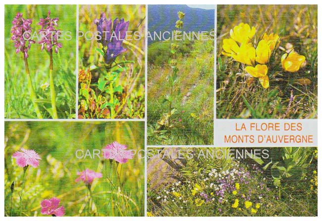Cartes postales anciennes > CARTES POSTALES > carte postale ancienne > cartes-postales-ancienne.com Auvergne rhone alpes Puy de dome Clermont Ferrand