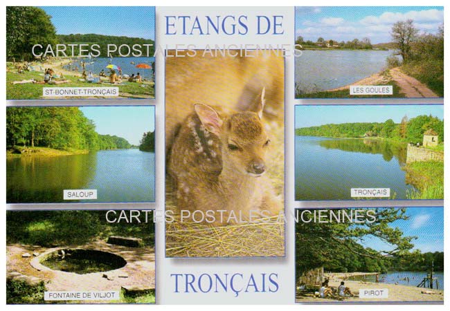 Cartes postales anciennes > CARTES POSTALES > carte postale ancienne > cartes-postales-ancienne.com Allier  Saint Bonnet De Troncais