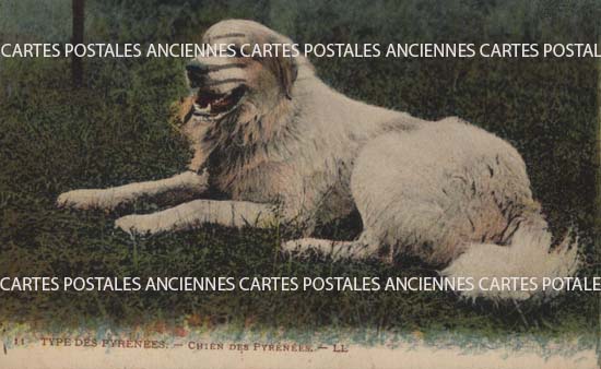 Cartes postales anciennes > CARTES POSTALES > carte postale ancienne > cartes-postales-ancienne.com Nouvelle aquitaine