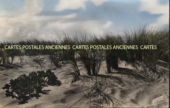 Cartes postales anciennes > CARTES POSTALES > carte postale ancienne > cartes-postales-ancienne.com Pays de la loire Vendee La Tranche Sur Mer