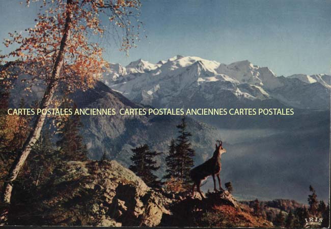 Cartes postales anciennes > CARTES POSTALES > carte postale ancienne > cartes-postales-ancienne.com Occitanie Ariege Les Issards