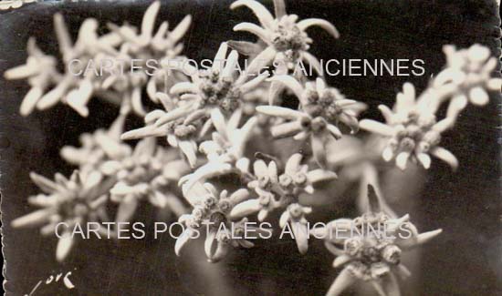 Cartes postales anciennes > CARTES POSTALES > carte postale ancienne > cartes-postales-ancienne.com Nouvelle aquitaine Pyrenees atlantiques Hendaye