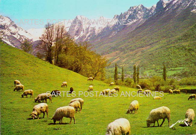 Cartes postales anciennes > CARTES POSTALES > carte postale ancienne > cartes-postales-ancienne.com Nouvelle aquitaine Pyrenees atlantiques Pau