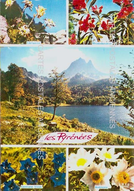 Cartes postales anciennes > CARTES POSTALES > carte postale ancienne > cartes-postales-ancienne.com Nouvelle aquitaine Pyrenees atlantiques Hendaye