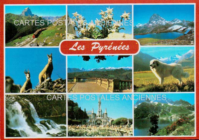 Cartes postales anciennes > CARTES POSTALES > carte postale ancienne > cartes-postales-ancienne.com Nouvelle aquitaine Pyrenees atlantiques Pau