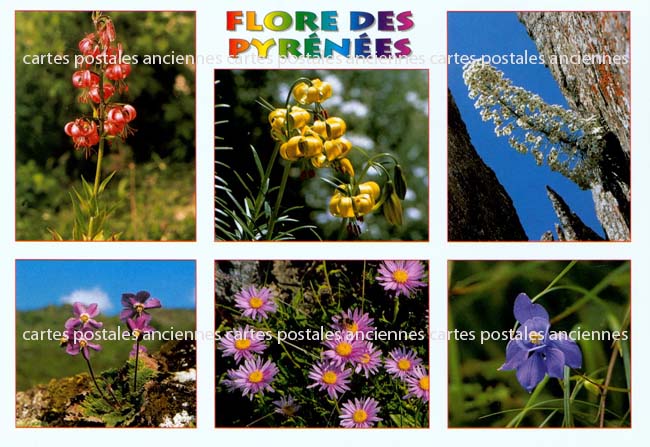 Cartes postales anciennes > CARTES POSTALES > carte postale ancienne > cartes-postales-ancienne.com Occitanie Hautes pyrenees Luz Saint Sauveur