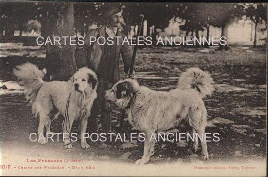 Cartes postales anciennes > CARTES POSTALES > carte postale ancienne > cartes-postales-ancienne.com Occitanie Hautes pyrenees Tarbes