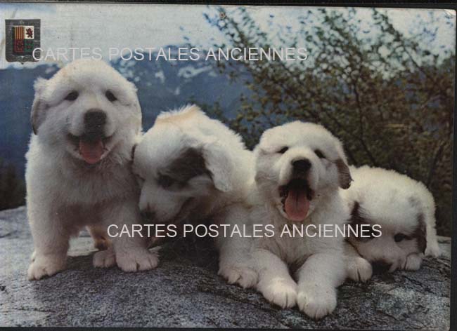 Cartes postales anciennes > CARTES POSTALES > carte postale ancienne > cartes-postales-ancienne.com Occitanie Hautes pyrenees Argeles Gazost