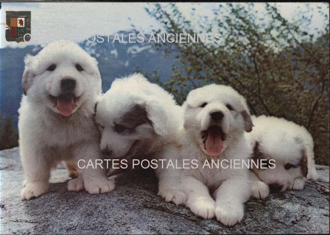 Cartes postales anciennes > CARTES POSTALES > carte postale ancienne > cartes-postales-ancienne.com Occitanie Hautes pyrenees Argeles Gazost