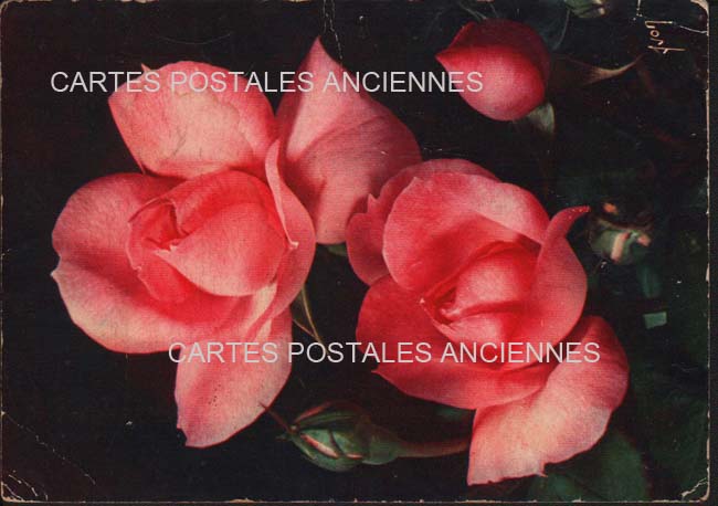 Cartes postales anciennes > CARTES POSTALES > carte postale ancienne > cartes-postales-ancienne.com Occitanie Hautes pyrenees Lourdes