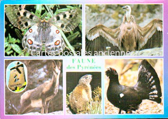 Cartes postales anciennes > CARTES POSTALES > carte postale ancienne > cartes-postales-ancienne.com Occitanie Hautes pyrenees Vielle Aure
