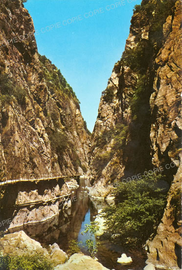 Cartes postales anciennes > CARTES POSTALES > carte postale ancienne > cartes-postales-ancienne.com Occitanie Pyrenees orientales Amelie Les Bains Palalda
