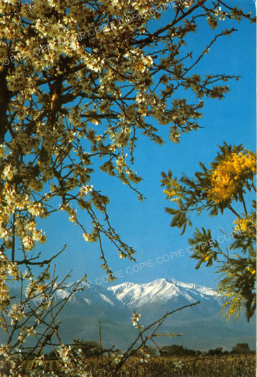 Cartes postales anciennes > CARTES POSTALES > carte postale ancienne > cartes-postales-ancienne.com Occitanie Pyrenees orientales Amelie Les Bains Palalda