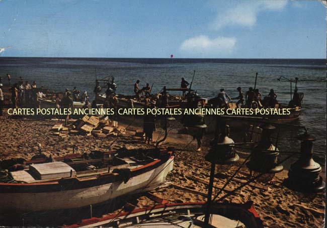 Cartes postales anciennes > CARTES POSTALES > carte postale ancienne > cartes-postales-ancienne.com Occitanie Pyrenees orientales Saint Cyprien Plage