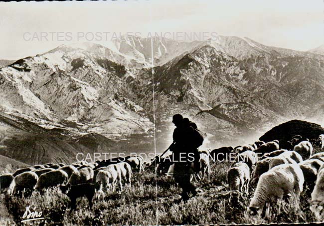 Cartes postales anciennes > CARTES POSTALES > carte postale ancienne > cartes-postales-ancienne.com Occitanie Pyrenees orientales Taurinya