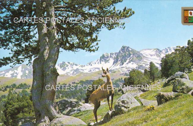 Cartes postales anciennes > CARTES POSTALES > carte postale ancienne > cartes-postales-ancienne.com Occitanie Pyrenees orientales Taurinya