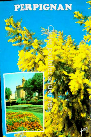 Cartes postales anciennes > CARTES POSTALES > carte postale ancienne > cartes-postales-ancienne.com Occitanie Pyrenees orientales Perpignan
