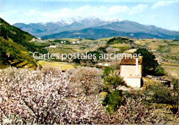 Cartes postales anciennes > CARTES POSTALES > carte postale ancienne > cartes-postales-ancienne.com Occitanie Pyrenees orientales Codalet