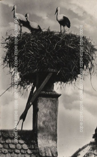 Cartes postales anciennes > CARTES POSTALES > carte postale ancienne > cartes-postales-ancienne.com Bas rhin 67 Obernai