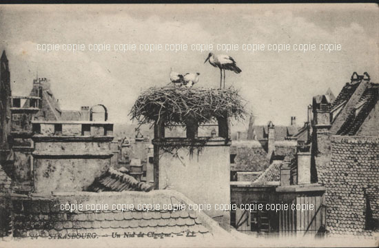 Cartes postales anciennes > CARTES POSTALES > carte postale ancienne > cartes-postales-ancienne.com Bas rhin 67 Strasbourg