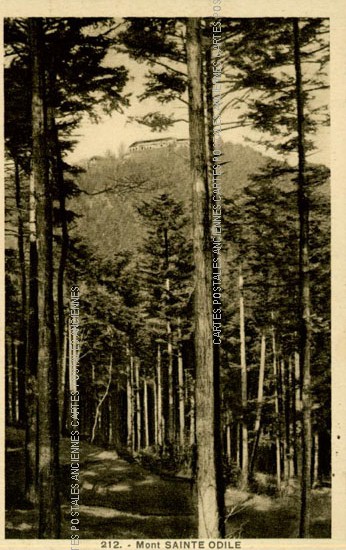 Cartes postales anciennes > CARTES POSTALES > carte postale ancienne > cartes-postales-ancienne.com Bas rhin 67 Ottrott