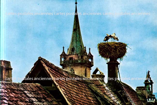 Cartes postales anciennes > CARTES POSTALES > carte postale ancienne > cartes-postales-ancienne.com Bas rhin 67 Obernai