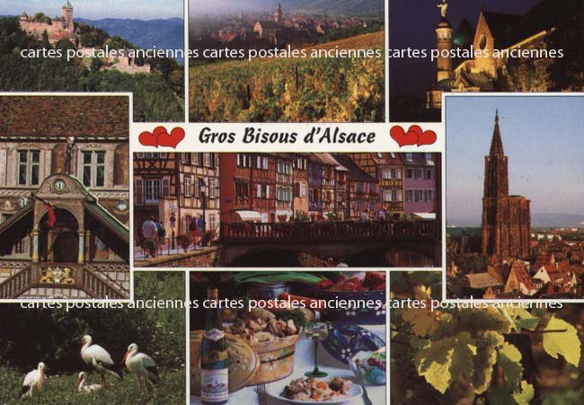 Cartes postales anciennes > CARTES POSTALES > carte postale ancienne > cartes-postales-ancienne.com Bas rhin 67 Dangolsheim