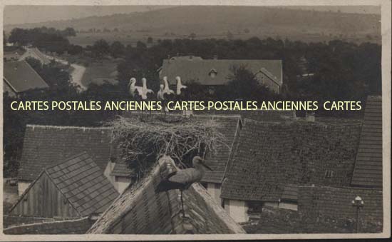 Cartes postales anciennes > CARTES POSTALES > carte postale ancienne > cartes-postales-ancienne.com Bas rhin 67 Woerth
