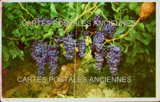 Cartes postales anciennes > CARTES POSTALES > carte postale ancienne > cartes-postales-ancienne.com Bas rhin 67 Gertwiller