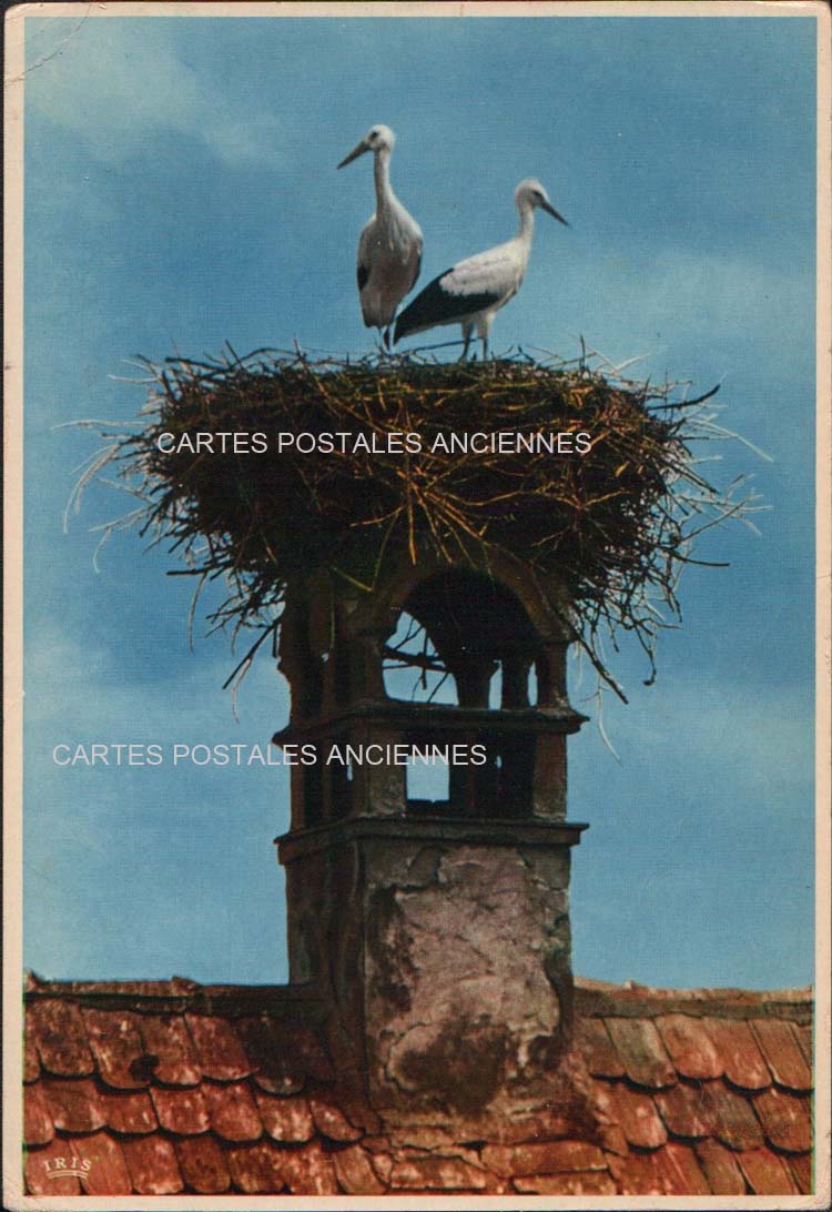 Cartes postales anciennes > CARTES POSTALES > carte postale ancienne > cartes-postales-ancienne.com Bas rhin 67 Strasbourg