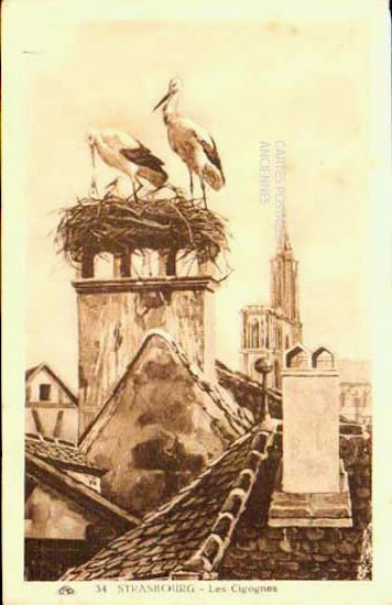 Cartes postales anciennes > CARTES POSTALES > carte postale ancienne > cartes-postales-ancienne.com Bas rhin 67 Strasbourg