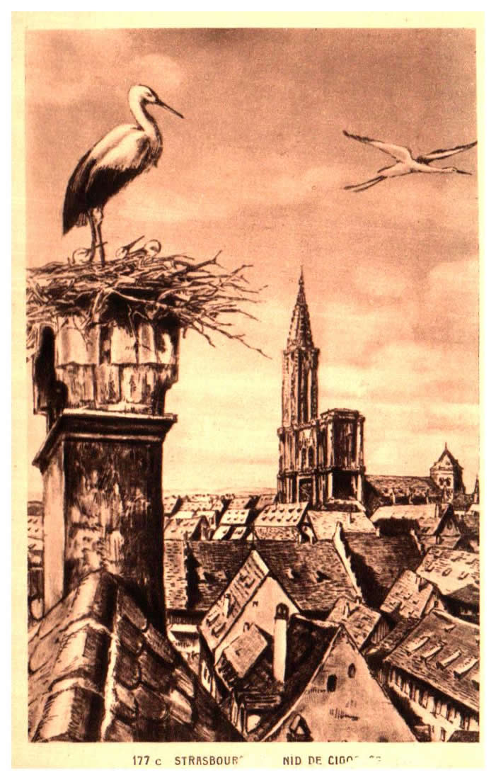 Cartes postales anciennes > CARTES POSTALES > carte postale ancienne > cartes-postales-ancienne.com Bas rhin 67 Strasbourg