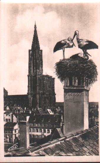 Cartes postales anciennes > CARTES POSTALES > carte postale ancienne > cartes-postales-ancienne.com Bas rhin 67 Strasbourg