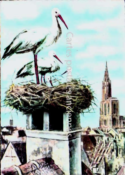 Cartes postales anciennes > CARTES POSTALES > carte postale ancienne > cartes-postales-ancienne.com Bas rhin 67 Strasbourg