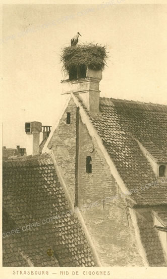 Cartes postales anciennes > CARTES POSTALES > carte postale ancienne > cartes-postales-ancienne.com Grand est Haut rhin Strasbourg