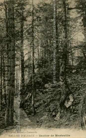Cartes postales anciennes > CARTES POSTALES > carte postale ancienne > cartes-postales-ancienne.com Haut rhin  Sewen