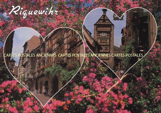 Cartes postales anciennes > CARTES POSTALES > carte postale ancienne > cartes-postales-ancienne.com Haut rhin  Riedwihr