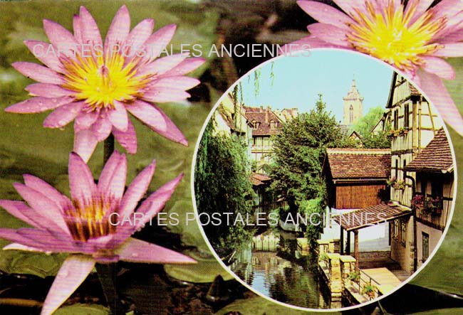 Cartes postales anciennes > CARTES POSTALES > carte postale ancienne > cartes-postales-ancienne.com Haut rhin  Colmar