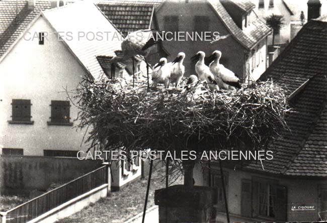 Cartes postales anciennes > CARTES POSTALES > carte postale ancienne > cartes-postales-ancienne.com Haut rhin  Munster
