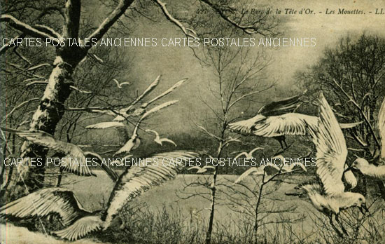 Cartes postales anciennes > CARTES POSTALES > carte postale ancienne > cartes-postales-ancienne.com Rhone  Lyon 6eme