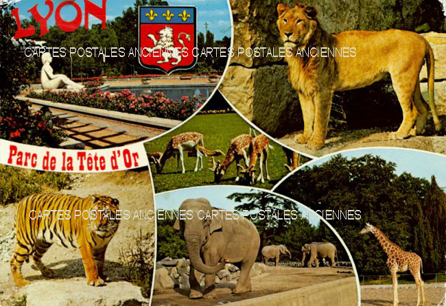Cartes postales anciennes > CARTES POSTALES > carte postale ancienne > cartes-postales-ancienne.com Rhone  Lyon 6eme