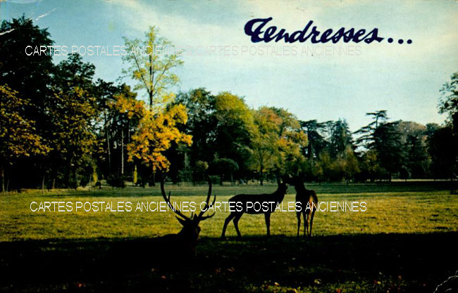 Cartes postales anciennes > CARTES POSTALES > carte postale ancienne > cartes-postales-ancienne.com Rhone  Lyon 6eme