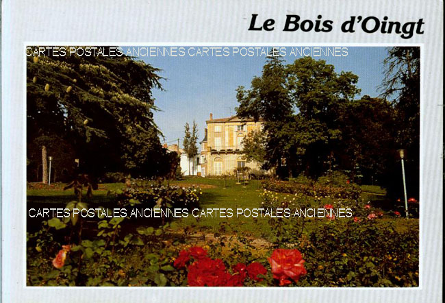 Cartes postales anciennes > CARTES POSTALES > carte postale ancienne > cartes-postales-ancienne.com Rhone  Le Bois D Oingt