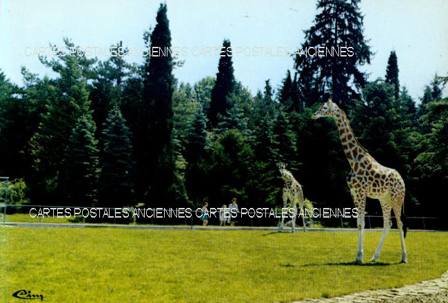 Cartes postales anciennes > CARTES POSTALES > carte postale ancienne > cartes-postales-ancienne.com Rhone  Lyon 6eme