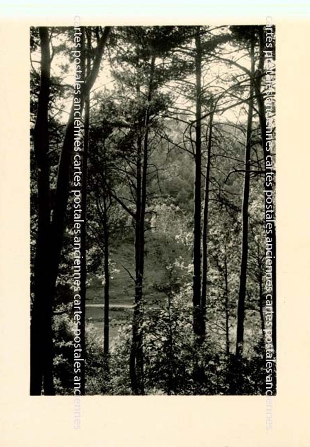 Cartes postales anciennes > CARTES POSTALES > carte postale ancienne > cartes-postales-ancienne.com Rhone  Saint Martin En Haut