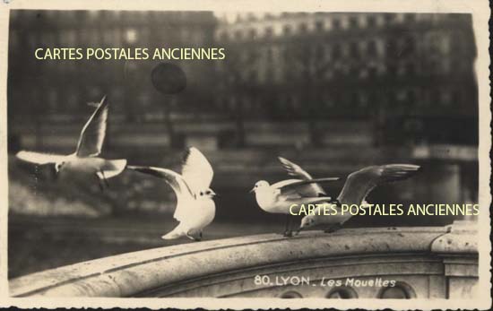 Cartes postales anciennes > CARTES POSTALES > carte postale ancienne > cartes-postales-ancienne.com Auvergne rhone alpes Rhone Lyon