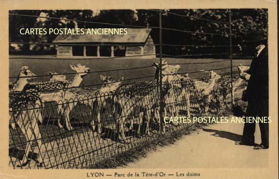 Cartes postales anciennes > CARTES POSTALES > carte postale ancienne > cartes-postales-ancienne.com Auvergne rhone alpes Rhone Lyon 6eme