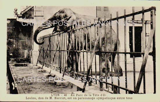 Cartes postales anciennes > CARTES POSTALES > carte postale ancienne > cartes-postales-ancienne.com Auvergne rhone alpes Rhone Lyon 6eme