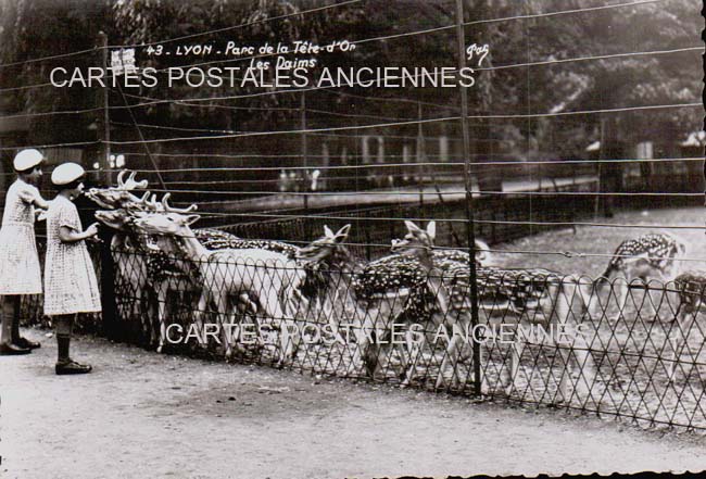 Cartes postales anciennes > CARTES POSTALES > carte postale ancienne > cartes-postales-ancienne.com Auvergne rhone alpes Rhone Lyon 6eme