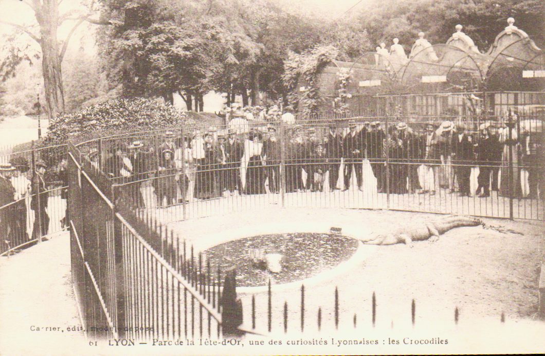 Cartes postales anciennes > CARTES POSTALES > carte postale ancienne > cartes-postales-ancienne.com Auvergne rhone alpes Rhone Lyon 6eme